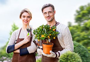 Проект «под ключ» где можно заказать по низкой цене  в Костроме