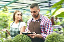 Дендроплан - верное планирование территории и решения этой задачи на уровне  в Костроме