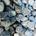 Kamenclub.ru: Щебень галтованный зеленый (змеевик) фр. 50-100 мм.  купить в Костроме галтовка мраморная зеленый, салатовый мрамор 12 500 руб/т   фото КАМЕНЬ КЛУБ