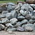 Kamenclub.ru: Гранит скальник (серо-зеленый) фр. 100-500 мм.  купить в Костроме гранит зеленый, серый, салатовый крупный ландшафтный валун 6 000 руб/т   фото КАМЕНЬ КЛУБ