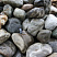 Kamenclub.ru: Речной валун Кабанчик фр.300-500 мм.  купить в Костроме крупный природный камень галька серый, темно-серый речной валун галечник масштабный 7000 руб/т   фото КАМЕНЬ КЛУБ