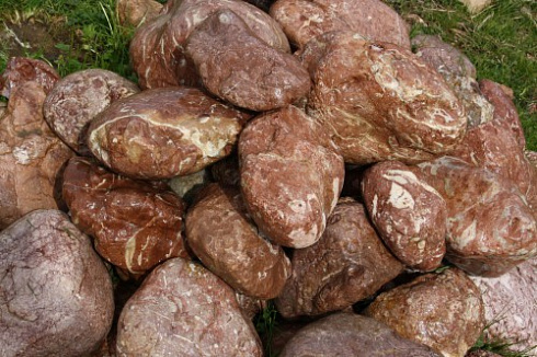 Kamenclub.ru: Розовый валунчик фр.100-300 мм.  купить в Костроме крупный природный камень розовый, серый молочный красный речной галечник природный 7850 руб/т   фото КАМЕНЬ КЛУБ