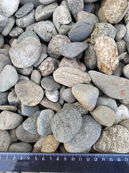 Kamenclub.ru: Галька речная окат (пестрая) фр. 20-40 мм. купить  в Костроме галька речная пестрая, серая, серые оттенки галька речная окатанная округлая 5000 руб/т   фото КАМЕНЬ КЛУБ