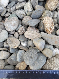 Kamenclub.ru: Галька речная окат (пестрая) фр. 20-40 мм. купить  в Костроме галька речная пестрая, серая, серые оттенки галька речная окатанная округлая 5000 руб/т   фото КАМЕНЬ КЛУБ