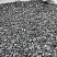 Kamenclub.ru: Щебень крошка черный (мрамор) фр. 10-20 мм.  купить в Костроме мрамор черный с белыми прожилками, черный, белый каменная ландшафтная декоративная крошка щебня 11000 руб/т   фото КАМЕНЬ КЛУБ