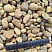 Kamenclub.ru: Галька речная окат рыжая фр. 20-40 мм. купить  в Костроме галька речная окатанная рыжая желтая серая округлая речная галька 5000 руб/т   фото КАМЕНЬ КЛУБ