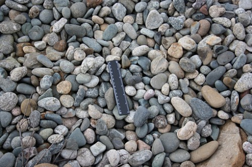 Kamenclub.ru: Галька речная окат (пестрая) фр. 20-40 мм. купить  в Костроме галька речная пестрая, серая, серые оттенки галька речная окатанная округлая 5000 руб/т   фото КАМЕНЬ КЛУБ