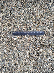 Kamenclub.ru: Галька речная окат (серая) фр.5-10 мм купить  в Костроме галька речная серая, серый, темно-серый, светло-серый, коричневый речная окатанная галька декоративная ландшатфная 5000 руб/т   фото КАМЕНЬ КЛУБ