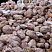 Kamenclub.ru: Розовый валунчик фр.100-300 мм.  купить в Костроме крупный природный камень розовый, серый молочный красный речной галечник природный 7850 руб/т   фото КАМЕНЬ КЛУБ