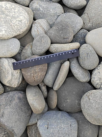 Kamenclub.ru: Галька речная плоская (серо-белая) фр. 70-120 мм. купить в Костроме галька галечник речной серый, белый окатанная плоская  природная галька 9000 руб/т   фото КАМЕНЬ КЛУБ