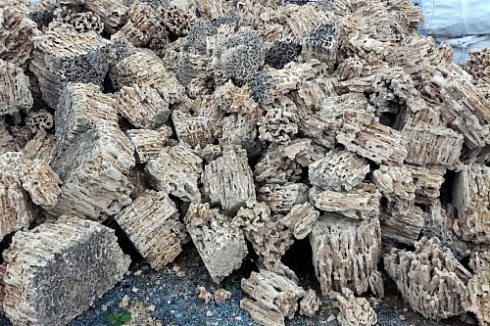 Kamenclub.ru: Крымский природный меотис фр. 100-500 мм.  купить в Костроме меотис бежевый рыжий молочный желтый ракушечник 4 500 руб/т   фото КАМЕНЬ КЛУБ