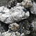 Kamenclub.ru: Черный гранит - кварцит фр. 100-500 мм.  купить в Костроме мрамор гранит черный с белыми прожилками, серый, белый валун скальный колотый 7000 руб/т   фото КАМЕНЬ КЛУБ