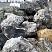 Kamenclub.ru: Черный гранит - кварцит фр. 500-1000 мм.  купить в Костроме гранит кварцит черный серый белый скальный колотый валун 9750 руб/т   фото КАМЕНЬ КЛУБ