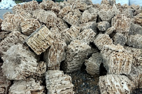 Kamenclub.ru: Крымский природный меотис фр. 100-500 мм.  купить в Костроме меотис бежевый рыжий молочный желтый ракушечник 4 500 руб/т   фото КАМЕНЬ КЛУБ