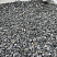 Kamenclub.ru: Щебень крошка черный (мрамор) фр. 20-40 мм.  купить в Костроме мрамор черный с белыми прожилками мраморная каменная крошка 11000 руб/т   фото КАМЕНЬ КЛУБ
