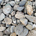 Kamenclub.ru: Галька речная окат (серая) фр.40-60 мм купить  в Костроме галька речная серый бежевый рыжий коричневый округлый речной камень 5000 руб/т   фото КАМЕНЬ КЛУБ