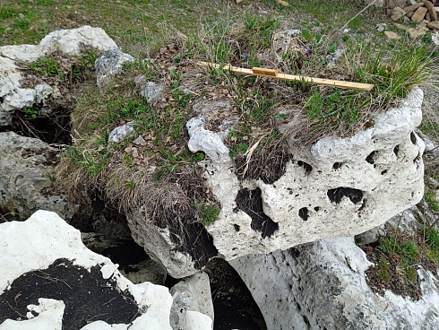 Kamenclub.ru: Выветренный известняк со мхом фр. 100-500 мм.  купить в Костроме известняк серый белый зеленый валун известняковый крупный 10000 руб/т   фото КАМЕНЬ КЛУБ