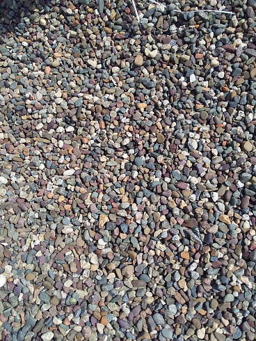 Kamenclub.ru: Галька речная окат цветная фр.5-10 мм. купить  в Костроме галька речная белый, серый, красноватый, синий, темно-серый речная окатанная галька декоративная 6800 руб/т   фото КАМЕНЬ КЛУБ