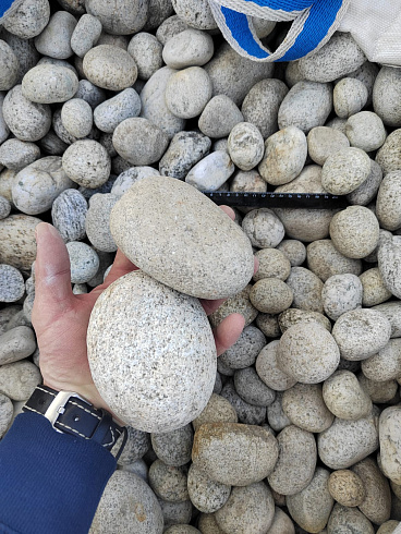 Kamenclub.ru: Галька речная окат (серо-белая) фр. 70-120 мм купить  в Костроме галька галечник бело-серая, серо-белая, серая, белая речная природная галька  8000 руб/т   фото КАМЕНЬ КЛУБ