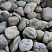 Kamenclub.ru: Темно-серый валунчик фр.100-300 мм.  купить в Костроме крупный природный камень серый, темно-серый, светло-серый речная галька большого размера окатанная 4500 руб/т   фото КАМЕНЬ КЛУБ