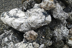 Kamenclub.ru: Черный гранит - кварцит фр. 500-1000 мм.  купить в Костроме гранит кварцит черный серый белый скальный колотый валун 9750 руб/т   фото КАМЕНЬ КЛУБ