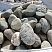 Kamenclub.ru: Речной валун (Ассорти) фр.100-300 мм.  купить в Костроме галечник серый, темно-серый, светло-серый речная галька крупных размеров 4200 руб/т   фото КАМЕНЬ КЛУБ