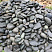 Kamenclub.ru: Темно-серый валунчик фр.100-300 мм.  купить в Костроме крупный природный камень серый, темно-серый, светло-серый речная галька большого размера окатанная 4500 руб/т   фото КАМЕНЬ КЛУБ