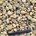 Kamenclub.ru: Галька речная окат рыжая фр. 20-40 мм. купить  в Костроме галька речная окатанная рыжая желтая серая округлая речная галька 5000 руб/т   фото КАМЕНЬ КЛУБ