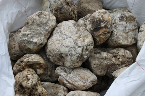 Kamenclub.ru: Кварцевый валунчик фр.100-300 мм.  купить в Костроме кварц белый, бежевый молочный рыжий крупный природный камень галечник 7850 руб/т   фото КАМЕНЬ КЛУБ