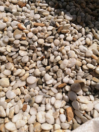 Галька Крымская Жемчужина фр. 10-20 мм.  купить в Костроме фото Камень Клуб