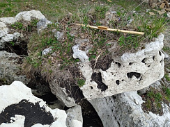 Kamenclub.ru: Выветренный известняк (степной) фр. 500-1500 мм.  купить в Костроме    10000 руб/т   фото КАМЕНЬ КЛУБ