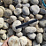 Kamenclub.ru: Галька речная окат (серо-белая) фр. 70-120 мм купить  в Костроме галька галечник бело-серая, серо-белая, серая, белая речная природная галька  8000 руб/т   фото КАМЕНЬ КЛУБ