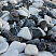 Kamenclub.ru: Мраморная крошка (щебень галтованный микс:: белый-черный) фр.20-40 мм  купить в Костроме мрамор белый, черный мраморный галтованный щебень 15500 руб/т   фото КАМЕНЬ КЛУБ