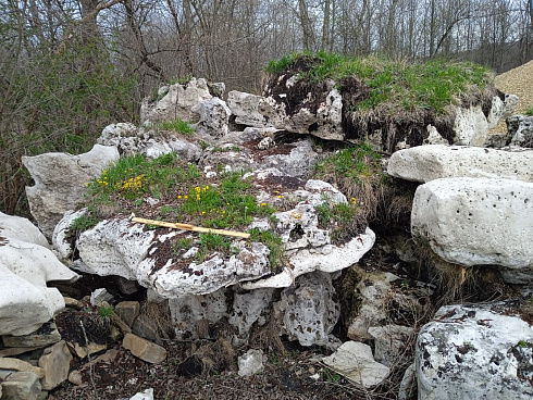 Kamenclub.ru: Выветренный известняк со мхом фр. 100-500 мм.  купить в Костроме известняк серый белый зеленый валун известняковый крупный 10000 руб/т   фото КАМЕНЬ КЛУБ