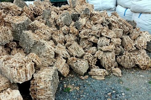 Kamenclub.ru: Крымский природный меотис фр. 100-500 мм.  купить в Костроме меотис бежевый рыжий молочный желтый ракушечник 4 500 руб/т   фото КАМЕНЬ КЛУБ