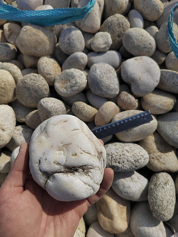 Kamenclub.ru: Галька речная окат (серо-белая) фр. 70-120 мм купить  в Костроме галька галечник бело-серая, серо-белая, серая, белая речная природная галька  8000 руб/т   фото КАМЕНЬ КЛУБ