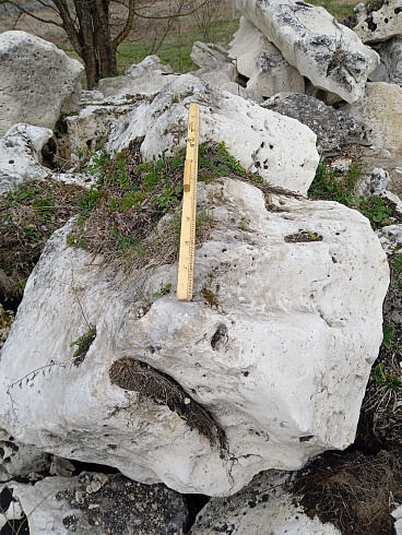 Kamenclub.ru: Выветренный известняк со мхом фр. 100-500 мм.  купить в Костроме известняк серый белый зеленый валун известняковый крупный 10000 руб/т   фото КАМЕНЬ КЛУБ