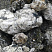 Kamenclub.ru: Черный гранит - кварцит фр. 100-500 мм.  купить в Костроме мрамор гранит черный с белыми прожилками, серый, белый валун скальный колотый 7000 руб/т   фото КАМЕНЬ КЛУБ