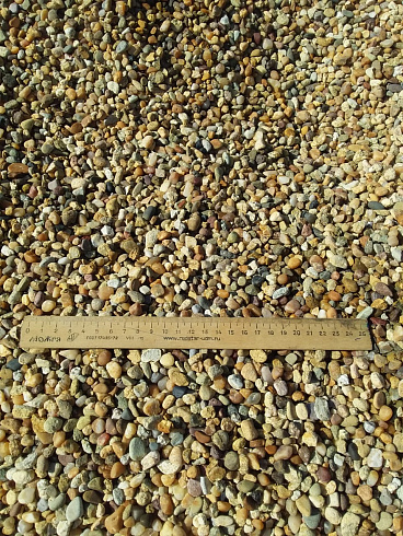Kamenclub.ru: Галька окат (серо-желтая) фр.5-10 мм. купить  в Костроме галька речная рыжий, желтый, рыжий, серо-желтый речная окатанная галька декоративная 5000 руб/т   фото КАМЕНЬ КЛУБ