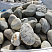 Kamenclub.ru: Речной валун (Ассорти) фр.100-300 мм.  купить в Костроме галечник серый, темно-серый, светло-серый речная галька крупных размеров 4200 руб/т   фото КАМЕНЬ КЛУБ