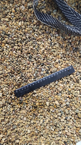 Kamenclub.ru: Галька окат (серо-желтая) фр.5-10 мм. купить  в Костроме галька речная рыжий, желтый, рыжий, серо-желтый речная окатанная галька декоративная 5000 руб/т   фото КАМЕНЬ КЛУБ