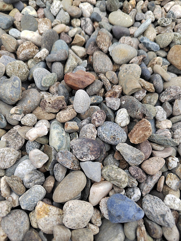 Kamenclub.ru: Галька речная окат (серая) фр.10-20 мм купить  в Костроме галька речная серая, серый, темно-серый, светло-серый, коричневый ландшафтная декоративная речная окатанная округлая галька 5000 руб/т   фото КАМЕНЬ КЛУБ