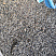 Kamenclub.ru: Галька речная окат (серая) фр.3-5 мм купить  в Костроме галька речная серая бежевый темно-серый окатанный речной камень округлый 9500 руб/т   фото КАМЕНЬ КЛУБ