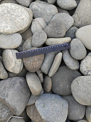 Kamenclub.ru: Галька речная плоская (ассорти) фр. 70-150 мм. купить в Костроме галька галечник серый белый темно-серый синий светло-серый плоская природная галька  9000 руб/т   фото КАМЕНЬ КЛУБ