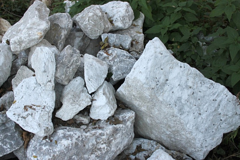 Kamenclub.ru: Мраморизированный известняк фр. 100-500 мм.  купить в Костроме известняк серый белый темно-серый сероватый валун природного образования окатанный 10500 руб/т   фото КАМЕНЬ КЛУБ