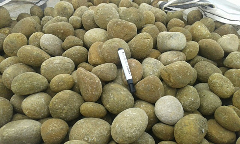 Kamenclub.ru: Песчаник ядра, фр. 100-300 мм  купить в Костроме песчаник бежевый серый рыжий речная галька 5 000 руб/т   фото КАМЕНЬ КЛУБ