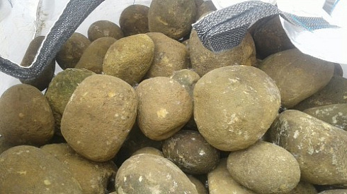 Kamenclub.ru: Песчаник ядра, фр. 100-300 мм  купить в Костроме песчаник бежевый серый рыжий речная галька 5 000 руб/т   фото КАМЕНЬ КЛУБ