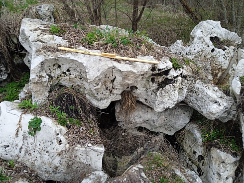 Kamenclub.ru: Выветренный известняк со мхом фр. 100-500 мм.  купить в Костроме известняк серый белый зеленый валун известняковый крупный 10000 руб/т   фото КАМЕНЬ КЛУБ