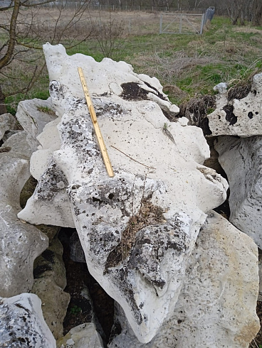 Kamenclub.ru: Выветренный известняк со мхом фр. 100-500 мм.  купить в Костроме известняк серый белый зеленый валун известняковый крупный 10000 руб/т   фото КАМЕНЬ КЛУБ