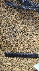 Kamenclub.ru: Галька окат (серо-желтая) фр.5-10 мм. купить  в Костроме галька речная рыжий, желтый, рыжий, серо-желтый речная окатанная галька декоративная 5000 руб/т   фото КАМЕНЬ КЛУБ